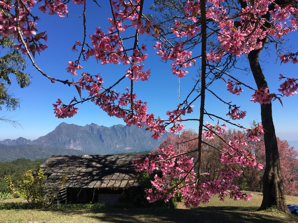 Chiang Dao Hostel Екстериор снимка