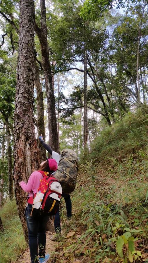 Chiang Dao Hostel Екстериор снимка